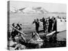 Korean War U.S. Land at Pohang-Associated Press-Stretched Canvas