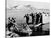 Korean War U.S. Land at Pohang-Associated Press-Stretched Canvas