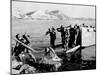 Korean War U.S. Land at Pohang-Associated Press-Mounted Photographic Print