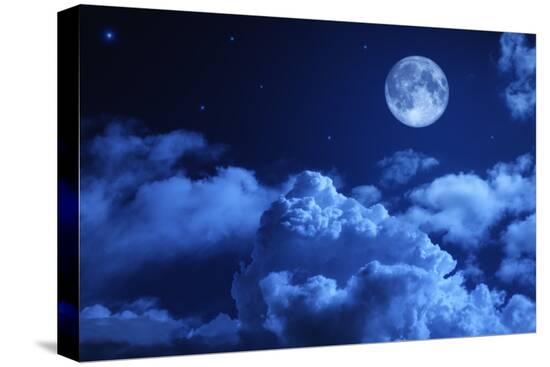 Stretched Canvas Print, , large
