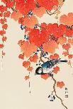 Red Bird and Cherry Blossoms-Koson Ohara-Giclee Print