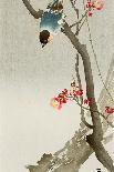 Red Bird and Cherry Blossoms-Koson Ohara-Giclee Print
