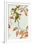 Gramercy White