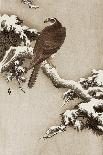 Bird and Red Ivy-Koson Ohara-Giclee Print