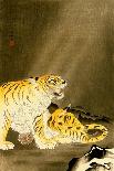 Reclining Tiger-Koson Ohara-Giclee Print