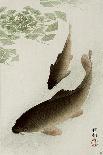 Two Carp and Water Lily Pad-Koson Ohara-Giclee Print