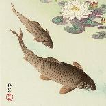 Two Carp and Blooming Water Plants-Koson Ohara-Giclee Print
