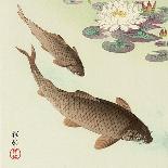 Two Carp and Water Lily Pad-Koson Ohara-Giclee Print