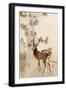 Black Frame
