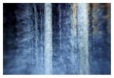 The Forest-Kostas Barbadimos-Photographic Print