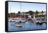 Koster Islands, Vastra Gotaland Region, Sweden, Scandinavia, Europe-Yadid Levy-Framed Stretched Canvas