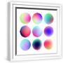 White Frame