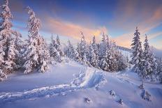 Winter Landscape with Sunrise in the Mountains, Path in the Snow, Carpathians, Ukraine, Europe-Kotenko-Photographic Print