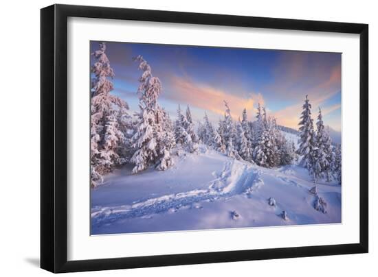 Premium Photographic Print, , large