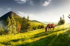 Frosty Morning in the Mountains, Panorama of Winter Mountains, Ukraine, Carpathians-Kotenko-Photographic Print