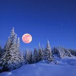 Winter Landscape in the Mountains at Night. A Full Moon and a Starry Sky. Carpathians, Ukraine-Kotenko-Photographic Print