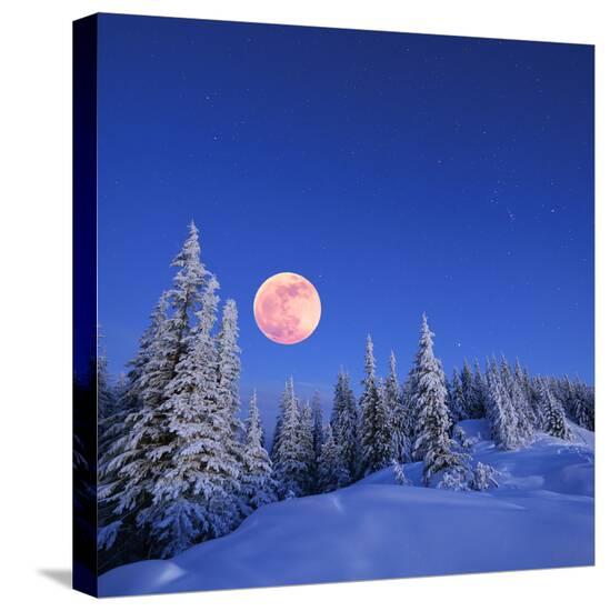 Stretched Canvas Print, , large