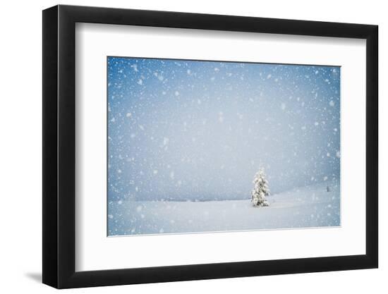 Premium Photographic Print, , large