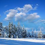 Winter Landscape with Snow-Covered Fir-Tree in a Lonely Mountain Valley. Christmas Theme with Snowf-Kotenko-Photographic Print