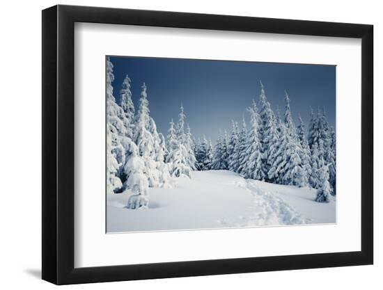 Premium Photographic Print, , large