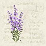 Vintage Set of Lavender Flowers Elements. Botanical Illustration. . Lavender Hand Drawn. Watercolor-Kotkoa-Art Print