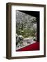 Koto-in Temple garden in snow, Kyoto, Japan, Asia-Damien Douxchamps-Framed Photographic Print