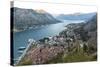 Kotor Old Town, Marina and Fortifications at Dawn with View of the Bay of Kotor-Charlie Harding-Stretched Canvas
