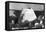 Kotzebue, Alaska - Snow Igloo-Lantern Press-Framed Stretched Canvas