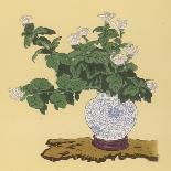 Maple and White Chrysanthemum an Autumn Arrangement-Koun Ohara-Art Print