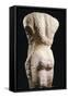 Kouros, Statue from Syracuse, Italy, Back, Magna Graecia, 6th-5th Century BC-null-Framed Stretched Canvas