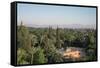 Koutoubia Gardens, Marakesh, Morocco-Vivienne Sharp-Framed Stretched Canvas