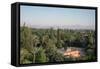 Koutoubia Gardens, Marakesh, Morocco-Vivienne Sharp-Framed Stretched Canvas