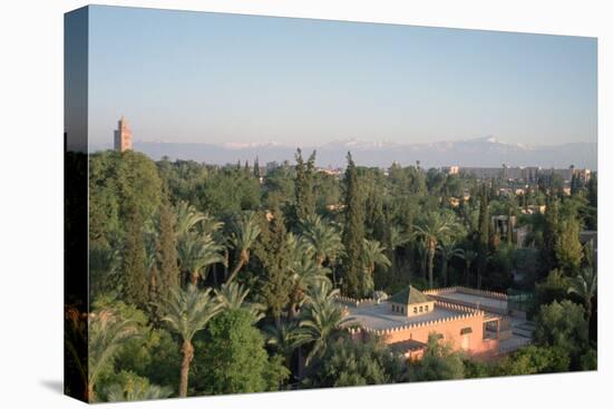 Koutoubia Gardens, Marakesh, Morocco-Vivienne Sharp-Stretched Canvas
