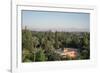 Koutoubia Gardens, Marakesh, Morocco-Vivienne Sharp-Framed Photographic Print