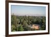 Koutoubia Gardens, Marakesh, Morocco-Vivienne Sharp-Framed Photographic Print