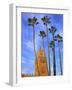 Koutoubia Mosque, Marrakech, Morocco, North Africa-Neil Farrin-Framed Photographic Print