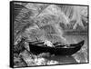 Kovalum, Kerala, India, Boat in Village-Elisa Cicinelli-Framed Stretched Canvas