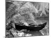 Kovalum, Kerala, India, Boat in Village-Elisa Cicinelli-Mounted Premium Photographic Print