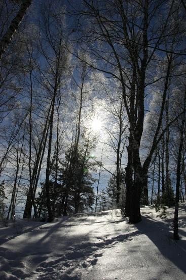 Premium Photographic Print, , large