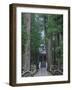 Koyasan-null-Framed Premium Photographic Print