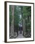 Koyasan-null-Framed Photographic Print