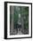 Koyasan-null-Framed Photographic Print