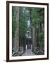 Koyasan-null-Framed Photographic Print