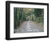 Kozanji Temple, Kyoto, Japan-Rob Tilley-Framed Photographic Print