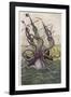 Kraken Attacks a Sailing Vessel-Denys De Montfort-Framed Photographic Print