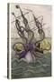 Kraken Attacks a Sailing Vessel-Denys De Montfort-Stretched Canvas