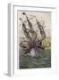 Kraken Attacks a Sailing Vessel-Denys De Montfort-Framed Photographic Print