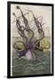 Kraken Attacks a Sailing Vessel-Denys De Montfort-Framed Photographic Print