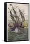 Kraken Attacks a Sailing Vessel-Denys De Montfort-Framed Stretched Canvas