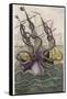 Kraken Attacks a Sailing Vessel-Denys De Montfort-Framed Stretched Canvas